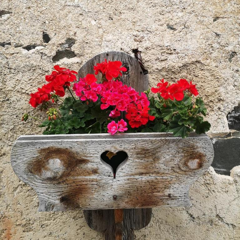 Balcone sul Civetta - Appartamento con 2 Camere da Letto - 46