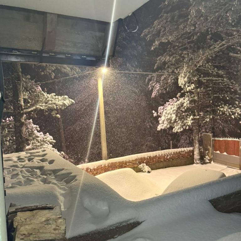 Vikendica Rujiste - Two-Bedroom Apartment - 2