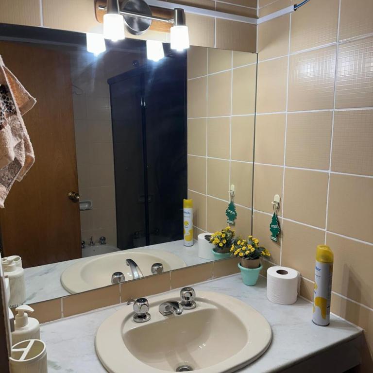 Tulipan 2 - Three-Bedroom Apartment - 6