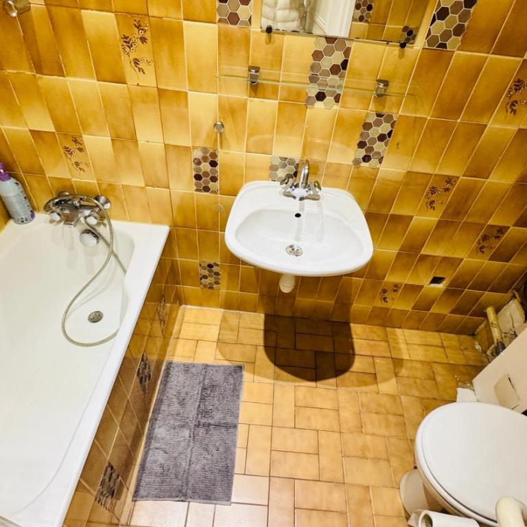 spacious apart close to Louvre - Appartement 1 Chambre - 17