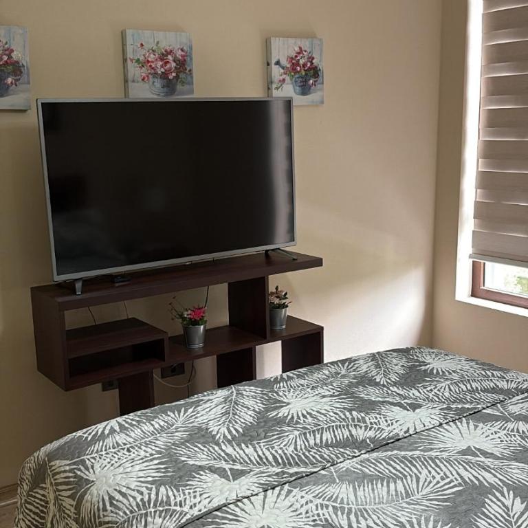 Villarrica Condominio Costanera Playa - Apartamento de 3 dormitorios - 9