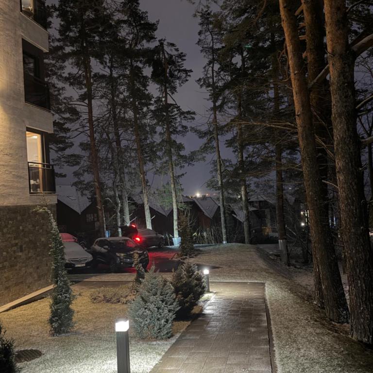 Zlatibor Palisad Hills Residence - One-Bedroom Apartment - 53