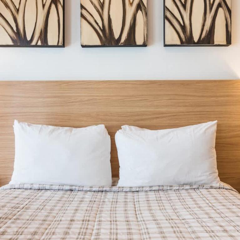 Beach Apartments for 12 in Playa - Apartment - 6