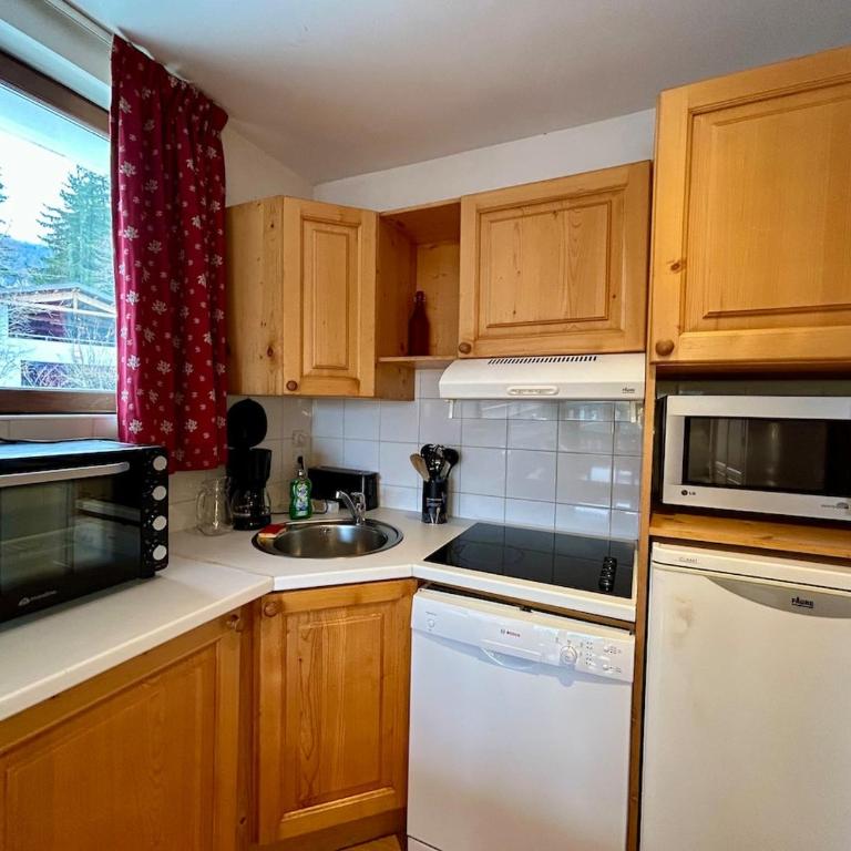 La grande cordée - Appartement 1 Chambre - 4