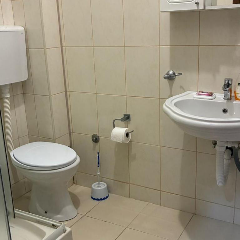 Apart Ludmila - Porodični Apartman Tipa "Suite" - 21