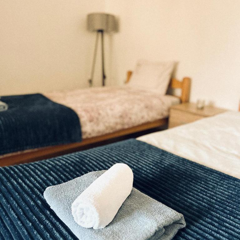 Blue Shell Apartments - Two-Bedroom Apartment - 15