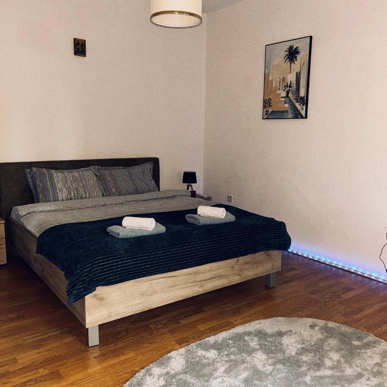 Blue Shell Apartments - Two-Bedroom Apartment - 11