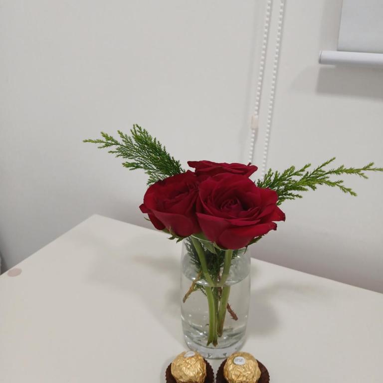 Sunset Apart Iguazú - One-Bedroom Apartment - 2