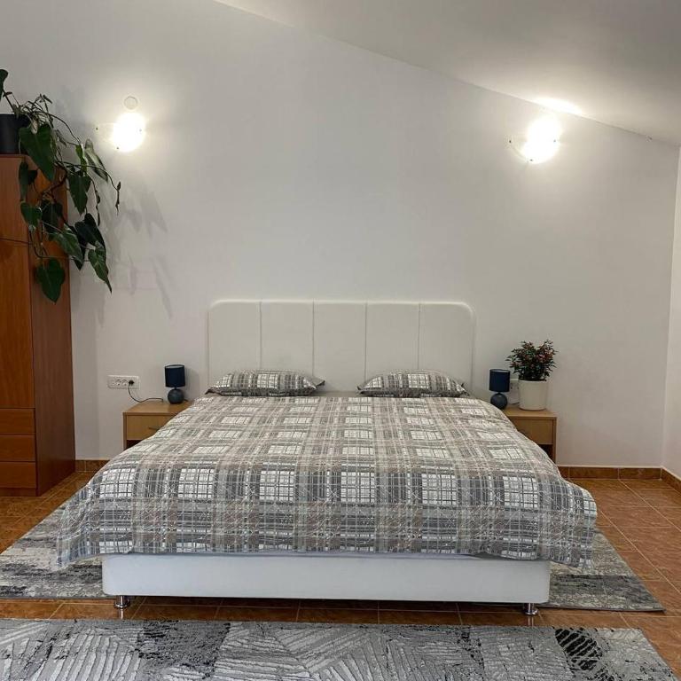 Alina's apartment - Studio with Balcony - 4