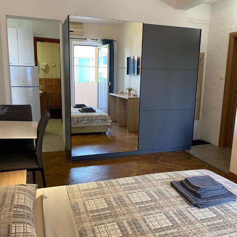 Alina's apartment - Standard Studio - 2