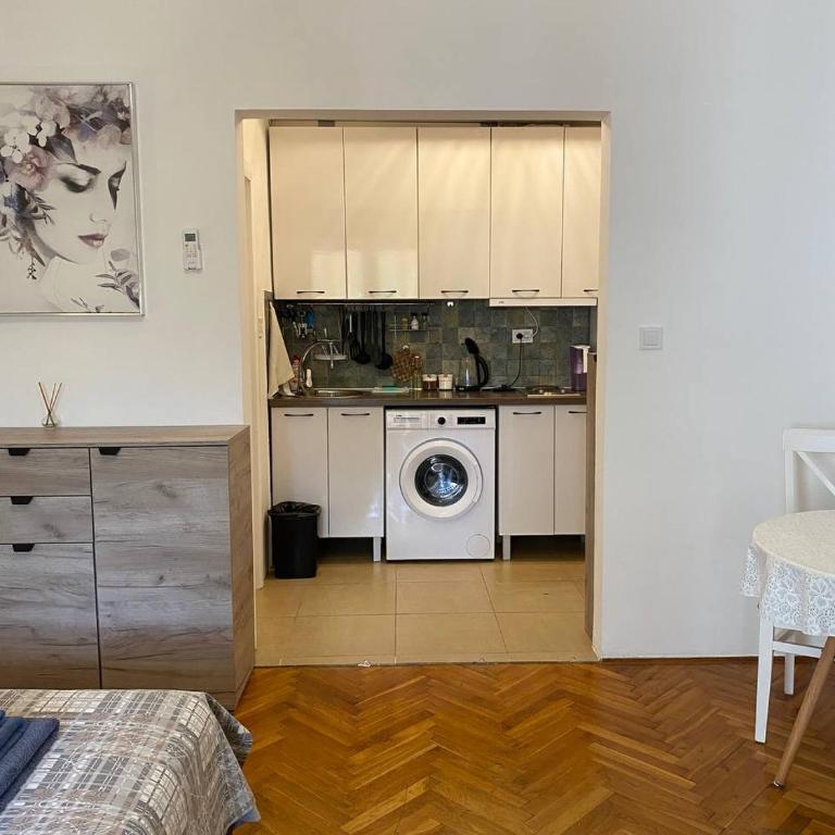 Alina's apartment - Studio with Terrace - 6