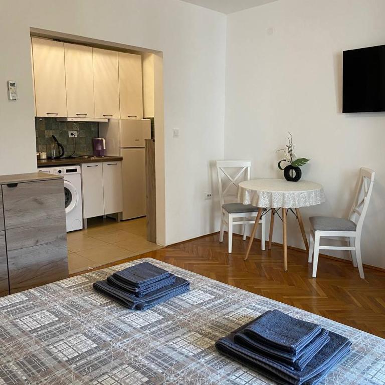 Alina's apartment - Studio with Terrace - 7