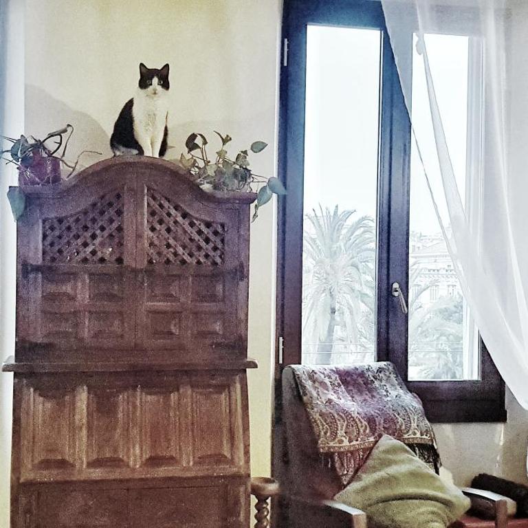Shared Appartment with Kitten - Appartement 2 Chambres - 4