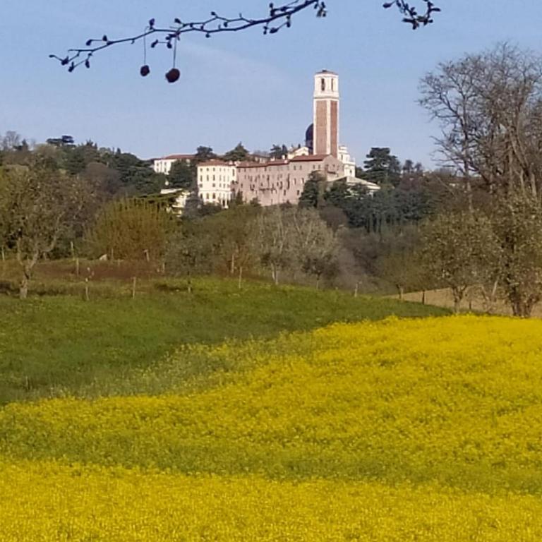 Appartamento Palladio residence Pergoletta - Appartamento con 1 Camera da Letto - 14