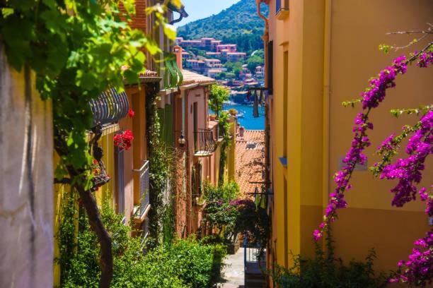 maison collioure - Three-Bedroom Vacation Home - 42