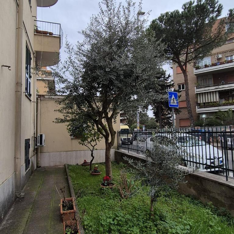 Olive tree's house - Casa con 1 Camera da Letto - 4