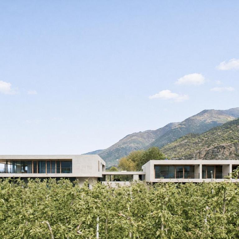 Langstrein Hof - Studio mit Bergblick - 2