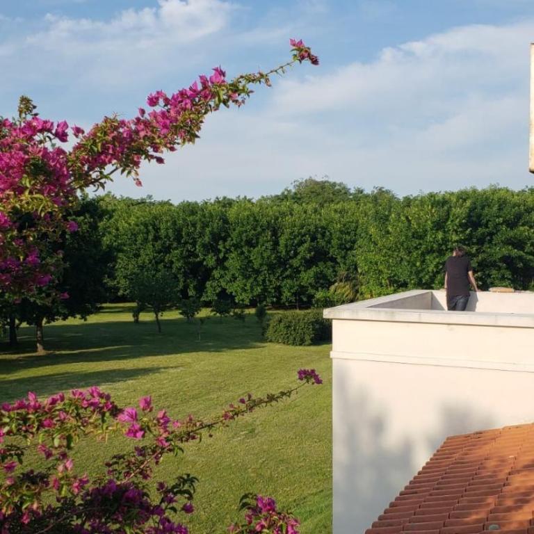 Flor de Azahar - Casa de Campo - Five-Bedroom House - 7