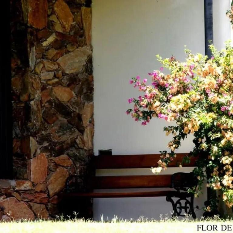 Flor de Azahar - Casa de Campo - Five-Bedroom House - 13