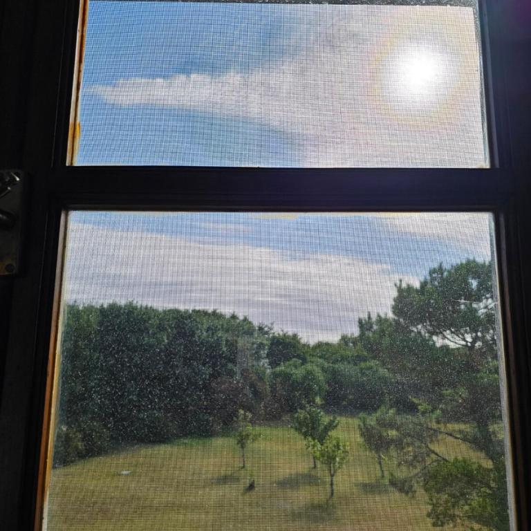 Flor de Azahar - Casa de Campo - Five-Bedroom House - 17