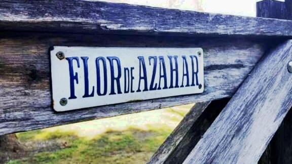 Flor de Azahar - Casa de Campo - Five-Bedroom House - 30