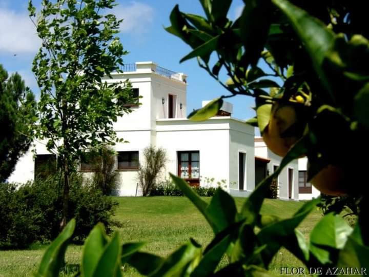 Flor de Azahar - Casa de Campo - Five-Bedroom House - 47