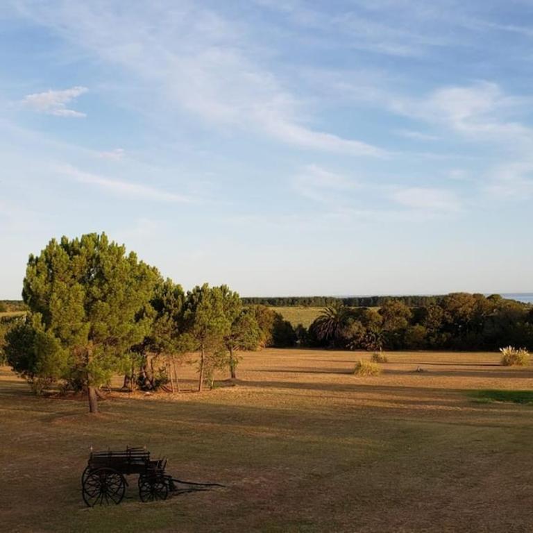 Flor de Azahar - Casa de Campo - Five-Bedroom House - 57