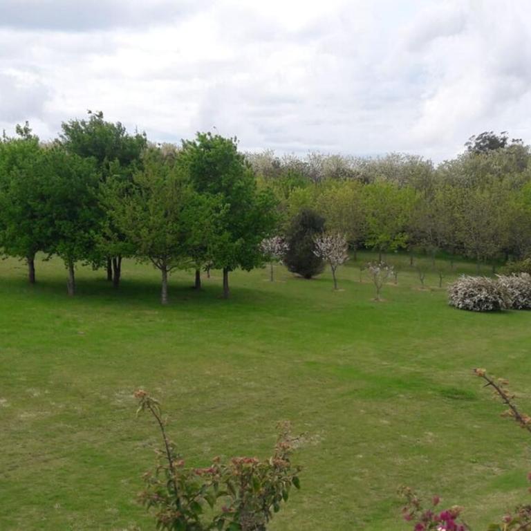 Flor de Azahar - Casa de Campo - Five-Bedroom House - 58