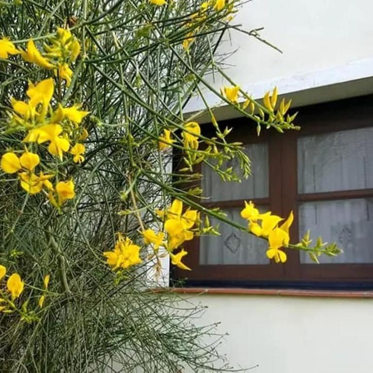 Flor de Azahar - Casa de Campo - Five-Bedroom House - 60