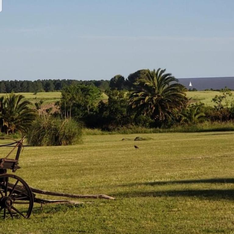 Flor de Azahar - Casa de Campo - Five-Bedroom House - 88