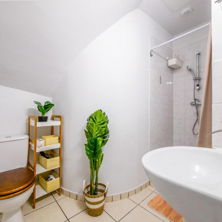 Studio Chouette Dijon - Appartement 1 Chambre - 7