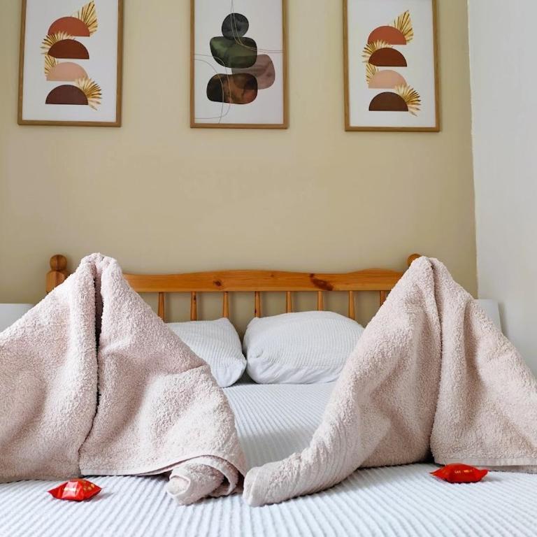 Rayon de Soleil - entre plage et commerces à Berck-sur-Mer - Appartement 1 Chambre - 1