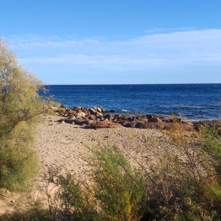 T2 meublé à 300m de la mer - Apartamento de 1 dormitorio - 4