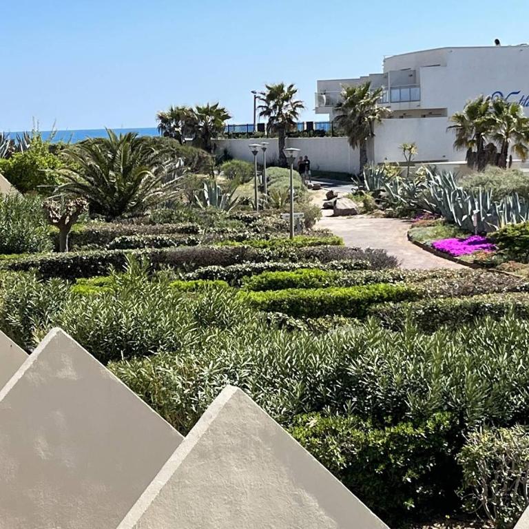 Studio 2 couchages CAP D'AGDE NATURISME CN060-AB131 - Apartment - 4
