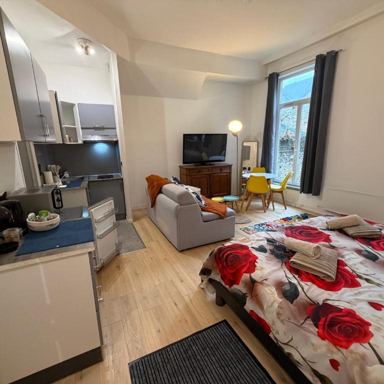 Cosy Bora Bora-Confort à Amiens - Superior Studio - 10