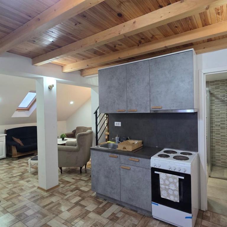Duplex stan u Beogradu - Apartman s 3 Spavaće Sobe i Pogledom na Planinu - 3