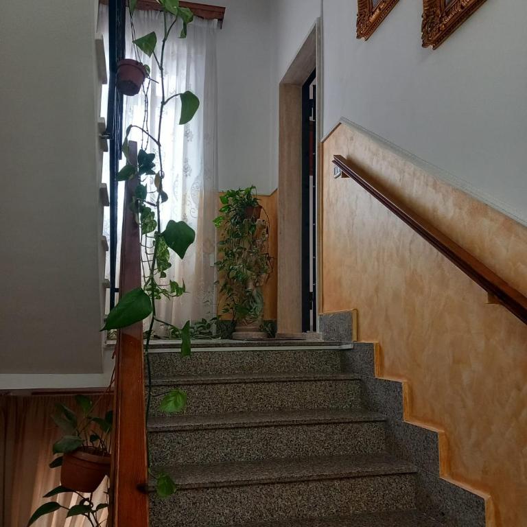 Casa di Roberto - Apartment with Balcony - 20