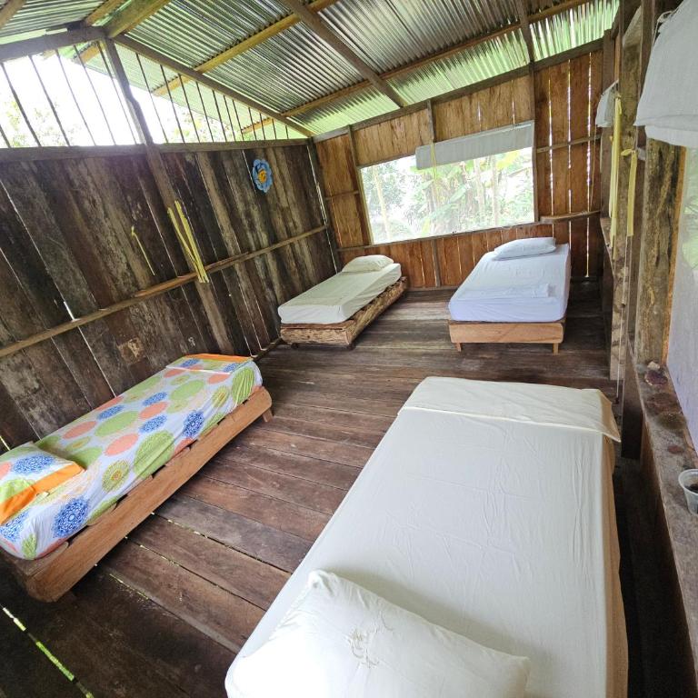 Hostal Posada Turística El Bejuco - Habitación Compartida Mixta - 4 camas - 1