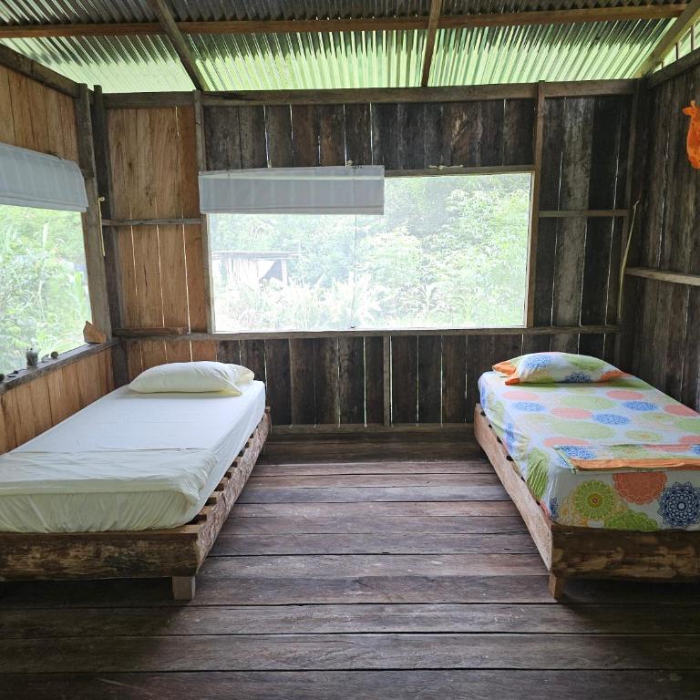 Hostal Posada Turística El Bejuco - Habitación Compartida Mixta - 4 camas - 2