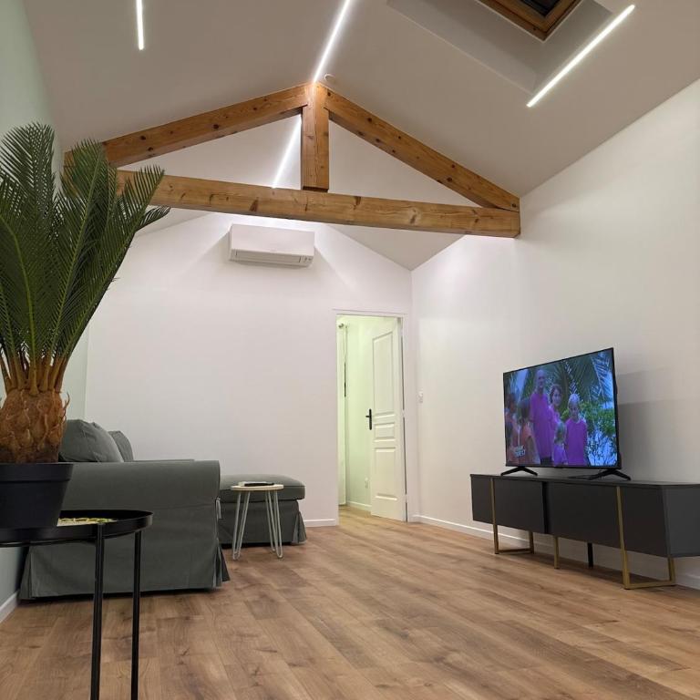 Magnifique - Appartement 1 Chambre - 7