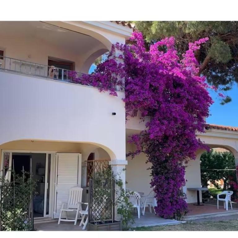 La casa dei Tati - Casa con 1 Camera da Letto - 5