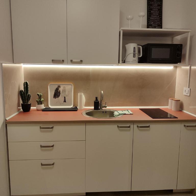 Terracotta Oasis - Apartman sa 1 Spavaćom Sobom - 7