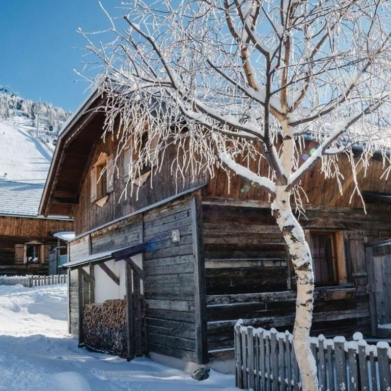 Almchalet am Katschberg - Ferienhaus - 3