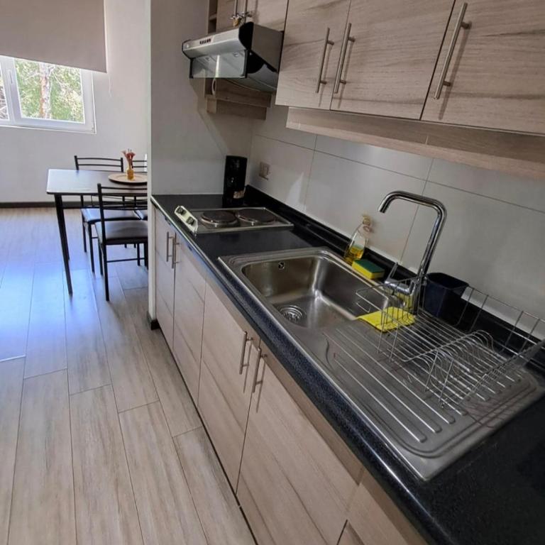 Depto estudio ubicado en Condominio Pucon Andino - One-Bedroom Apartment - 8