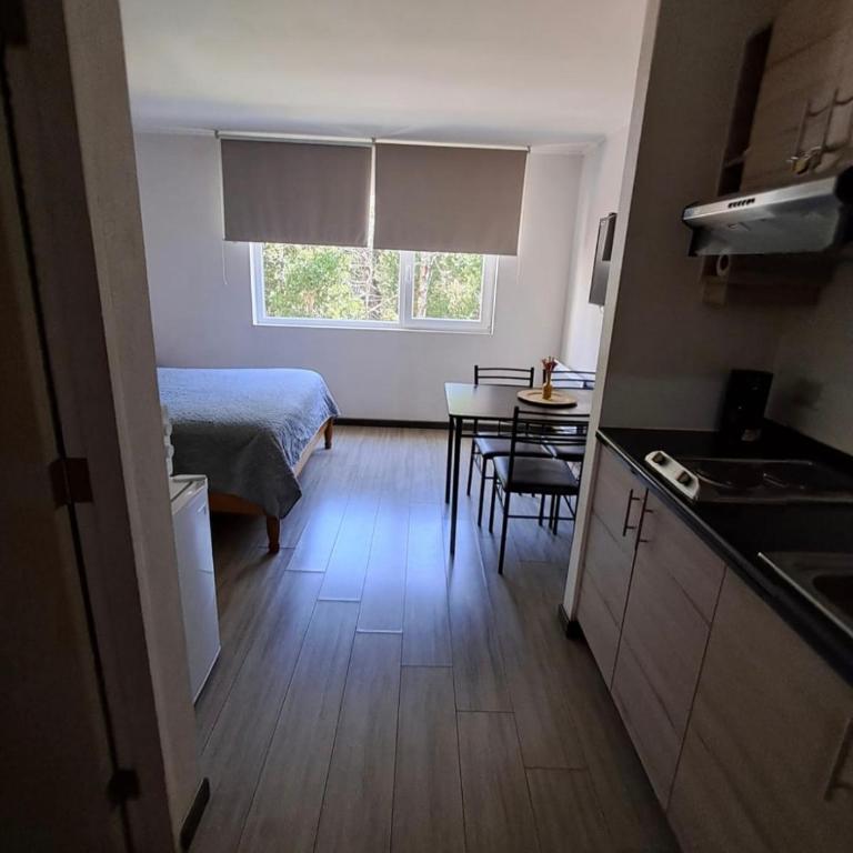 Depto estudio ubicado en Condominio Pucon Andino - One-Bedroom Apartment - 7