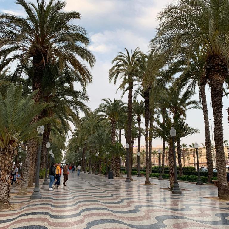 Alicante, Rue Piétonne ,Plage, Climatisation - Two-Room Apartment - 22