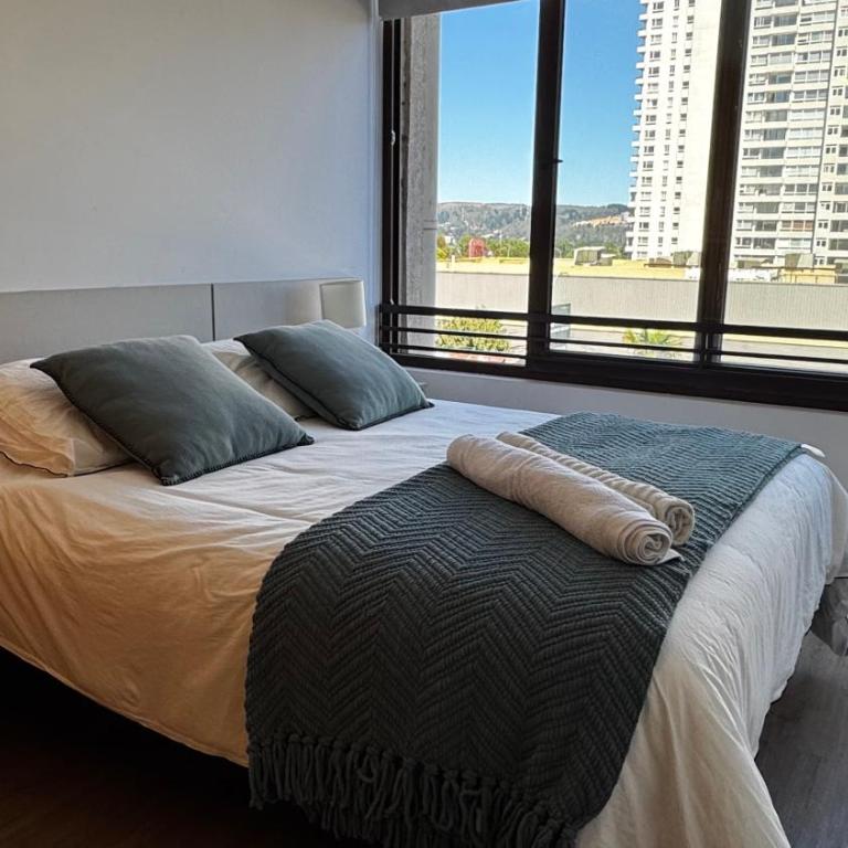 Modern studio in Concepción Central location - One-Bedroom Apartment - 23