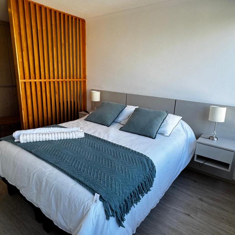 Modern studio in Concepción Central location - One-Bedroom Apartment - 21