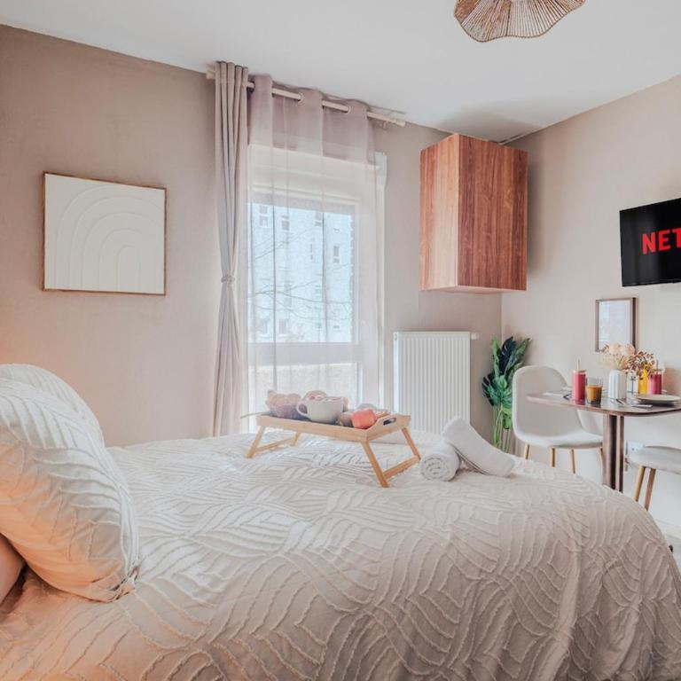 Le Floréal - Netflix I CENTRE -VILLE I 2 Min Allemagne - One-Bedroom Apartment - 1