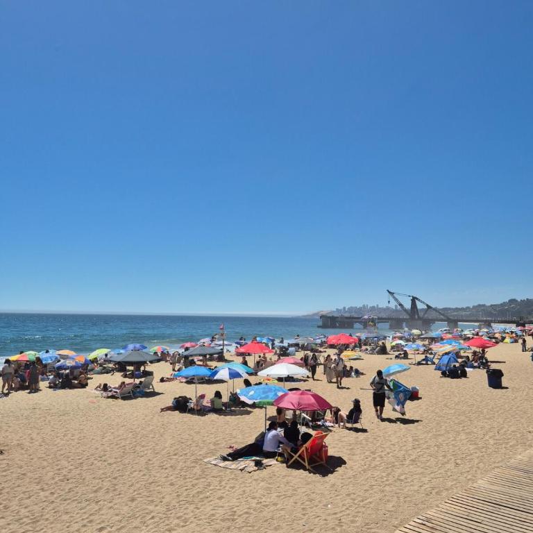 Acogedor departamento en el centro de Viña del Mar - Two-Bedroom Apartment with Garden View - 12
